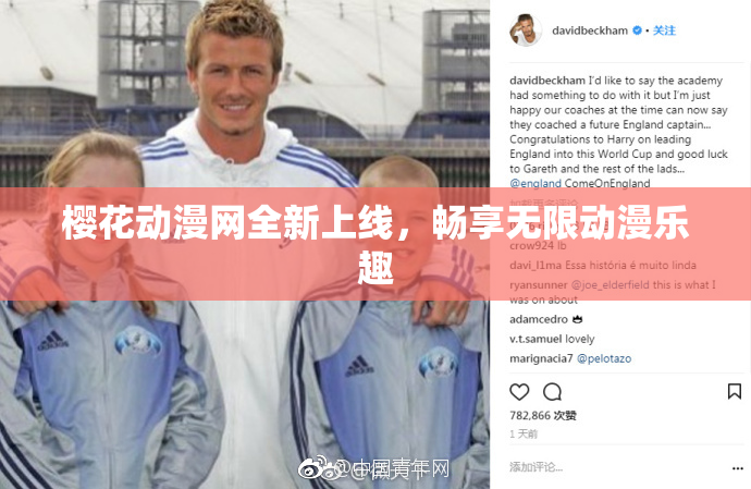 樱花动漫网全新上线，畅享无限动漫乐趣