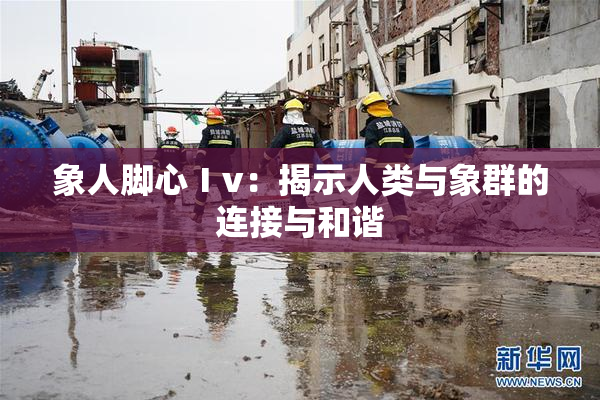象人脚心Ⅰv：揭示人类与象群的连接与和谐