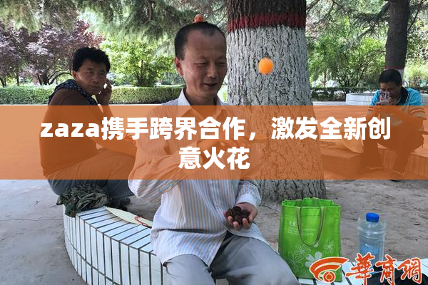 zaza携手跨界合作，激发全新创意火花