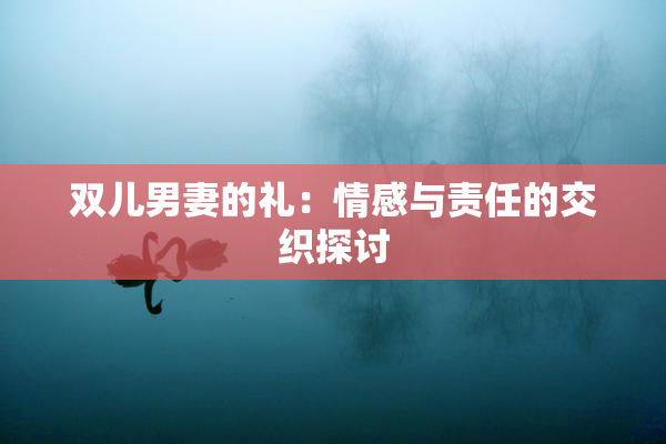 双儿男妻的礼：情感与责任的交织探讨