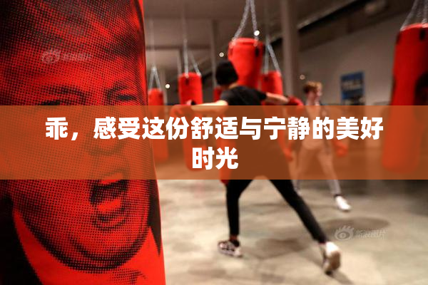 乖，感受这份舒适与宁静的美好时光