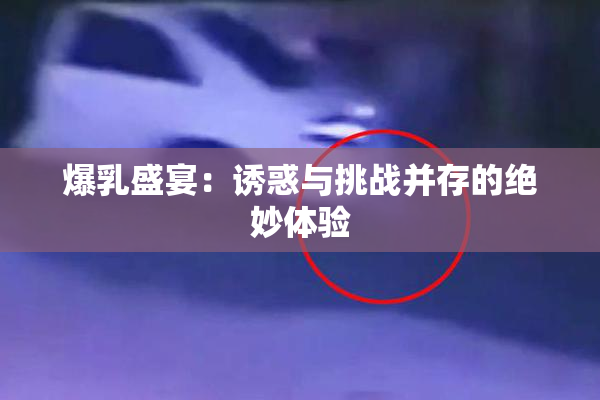 爆乳盛宴：诱惑与挑战并存的绝妙体验