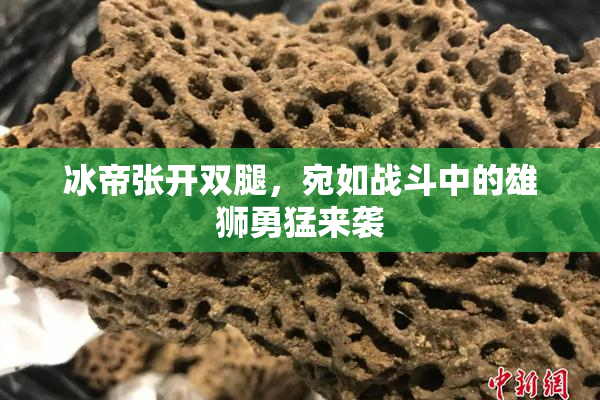 冰帝张开双腿，宛如战斗中的雄狮勇猛来袭