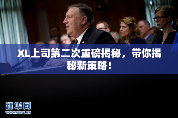 XL上司第二次重磅揭秘，带你揭秘新策略！
