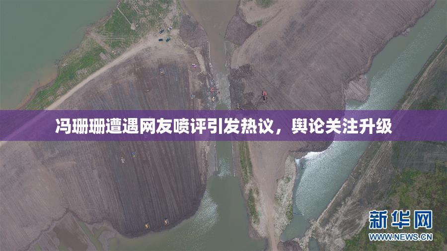 冯珊珊遭遇网友喷评引发热议，舆论关注升级