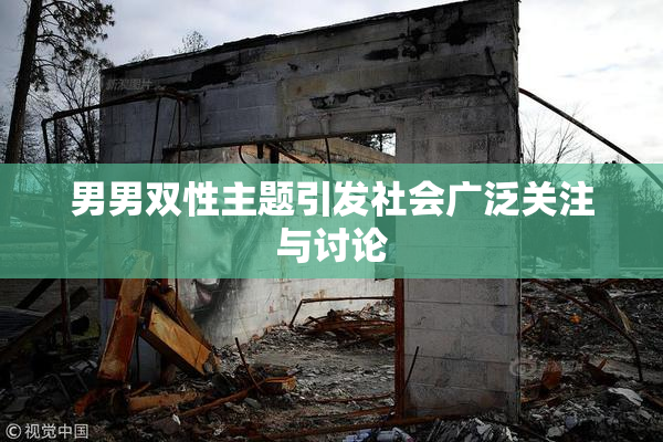 男男双性主题引发社会广泛关注与讨论