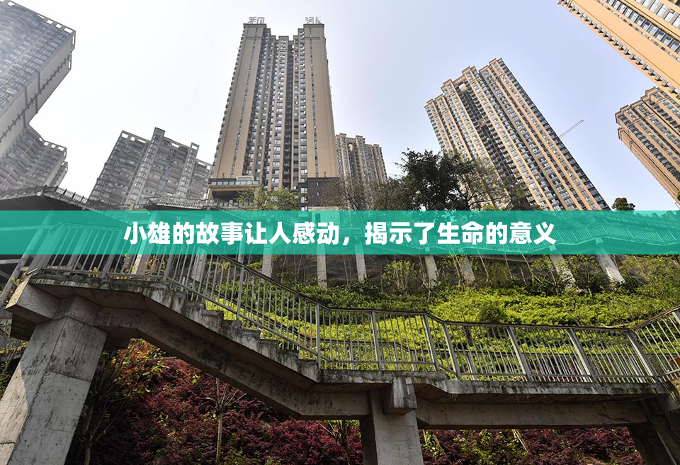 小雄的故事让人感动，揭示了生命的意义