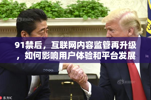 91禁后，互联网内容监管再升级，如何影响用户体验和平台发展？
