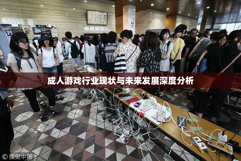 成人游戏行业现状与未来发展深度分析