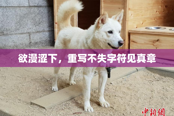 欲漫涩下，重写不失字符见真章