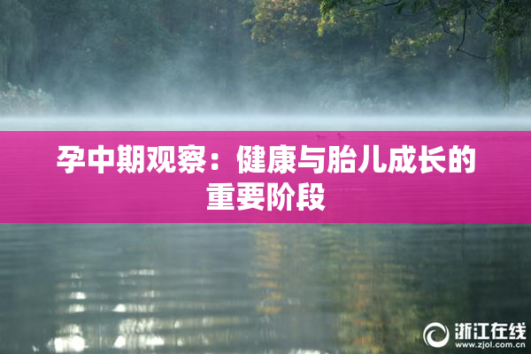 孕中期观察：健康与胎儿成长的重要阶段