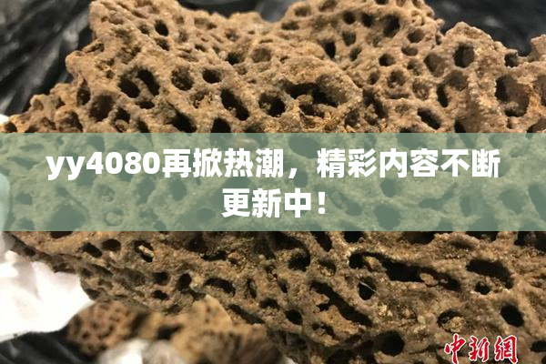 yy4080再掀热潮，精彩内容不断更新中！