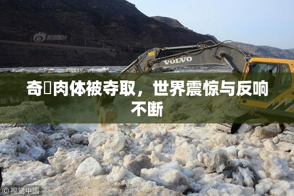 奇犽肉体被夺取，世界震惊与反响不断
