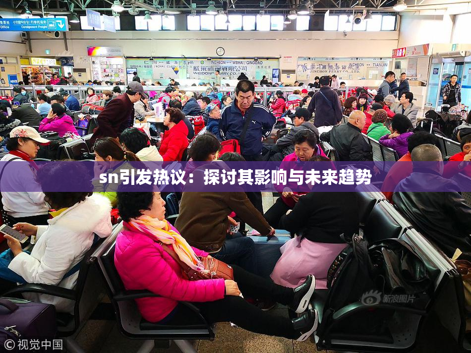 sn引发热议：探讨其影响与未来趋势