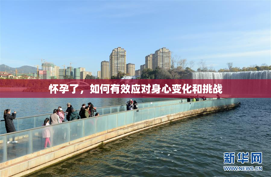 怀孕了，如何有效应对身心变化和挑战