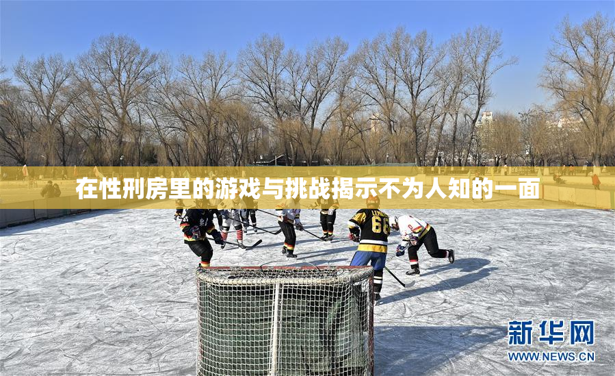在性刑房里的游戏与挑战揭示不为人知的一面