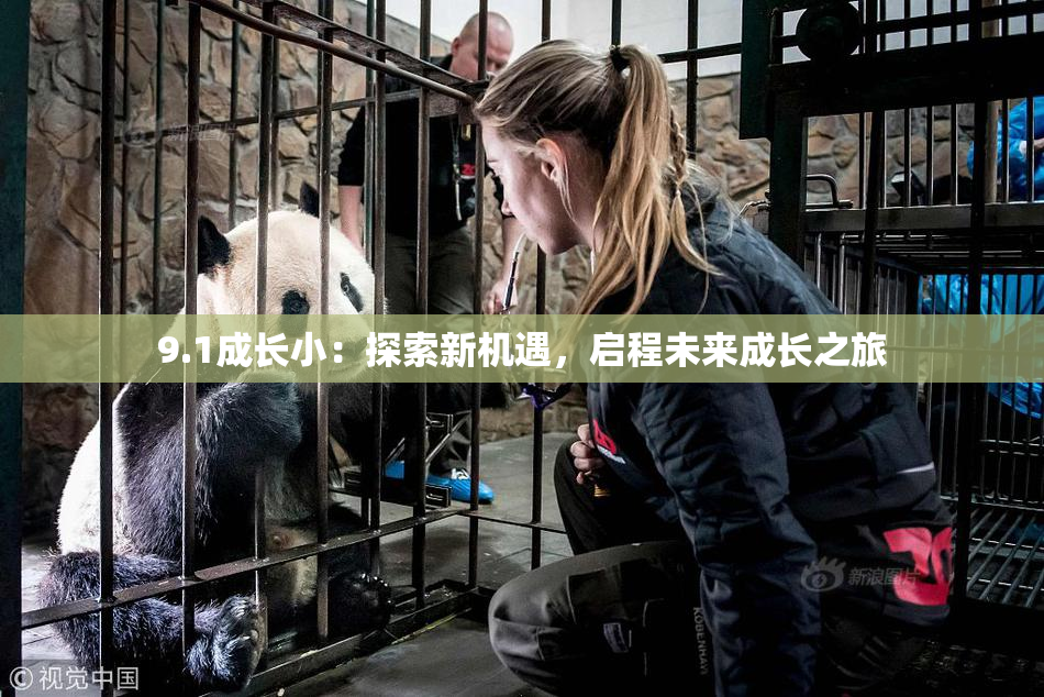9.1成长小：探索新机遇，启程未来成长之旅