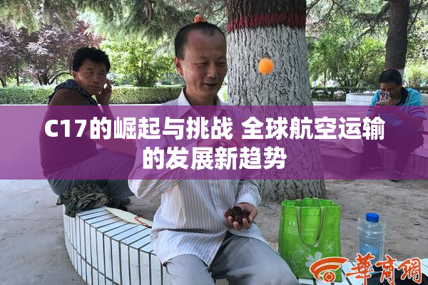 C17的崛起与挑战 全球航空运输的发展新趋势