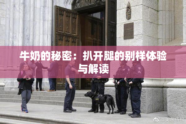 牛奶的秘密：扒开腿的别样体验与解读