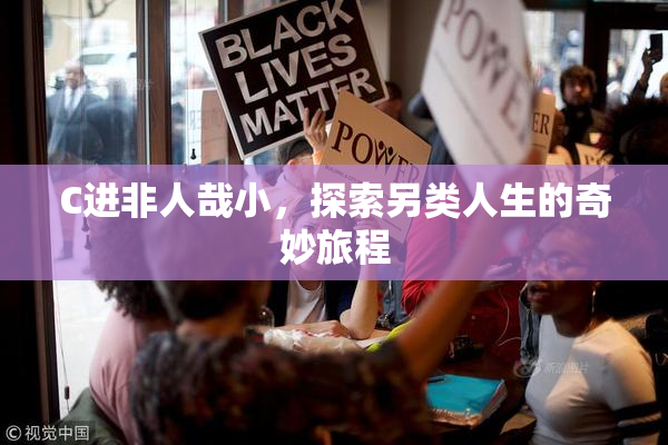 C进非人哉小，探索另类人生的奇妙旅程