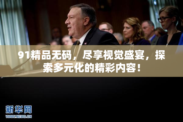 91精品无码，尽享视觉盛宴，探索多元化的精彩内容！