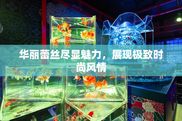 华丽蕾丝尽显魅力，展现极致时尚风情