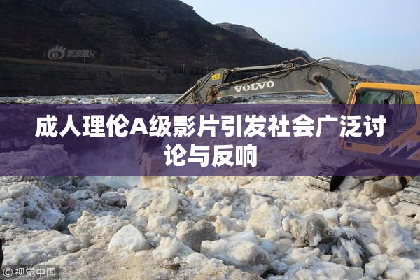 成人理伦A级影片引发社会广泛讨论与反响
