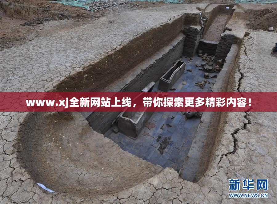 www.xj全新网站上线，带你探索更多精彩内容！