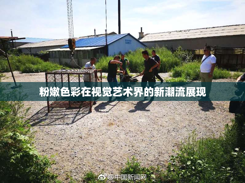 粉嫩色彩在视觉艺术界的新潮流展现