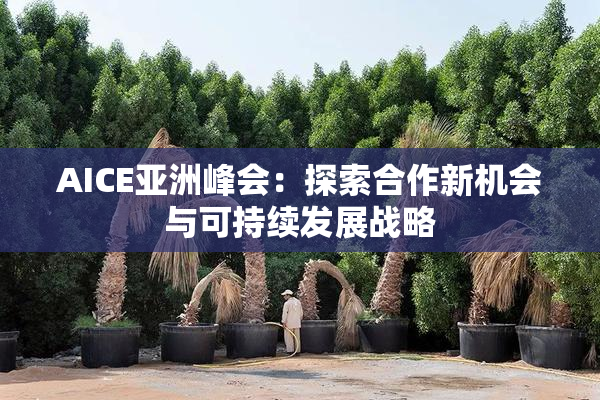 AICE亚洲峰会：探索合作新机会与可持续发展战略