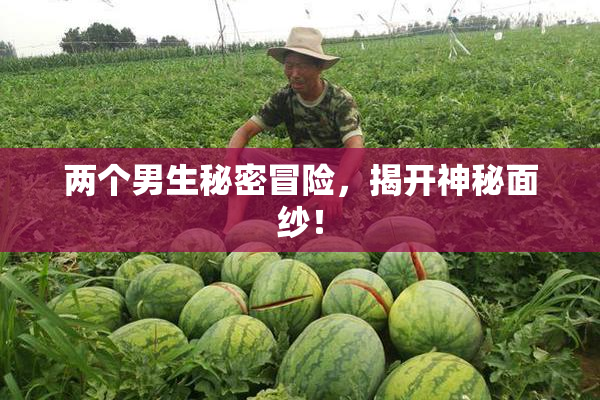两个男生秘密冒险，揭开神秘面纱！