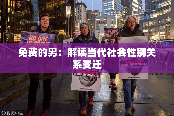 免费的男：解读当代社会性别关系变迁