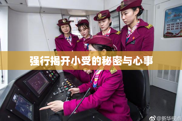 强行揭开小受的秘密与心事