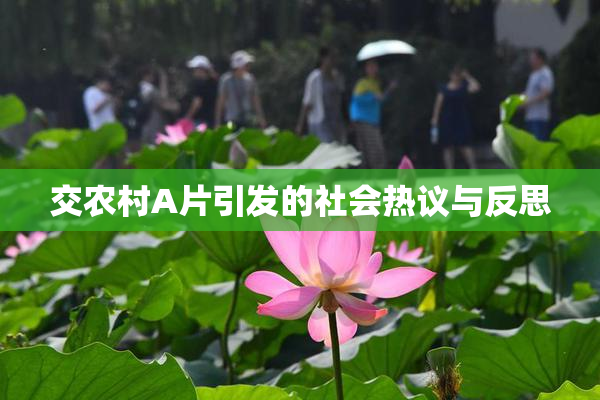 交农村A片引发的社会热议与反思