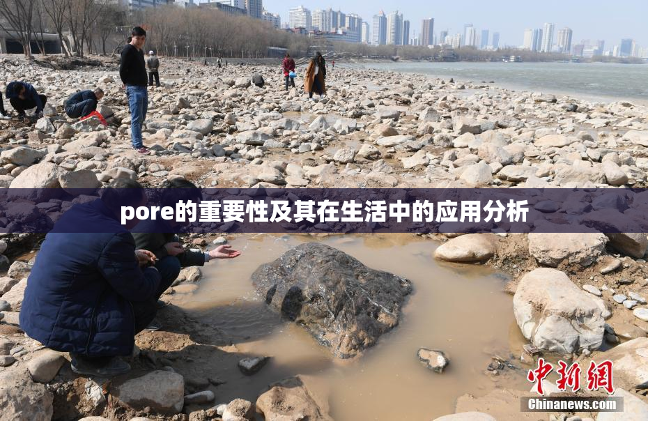 pore的重要性及其在生活中的应用分析