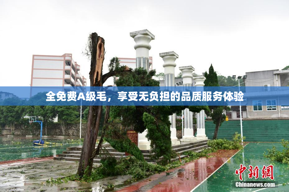全免费A级毛，享受无负担的品质服务体验