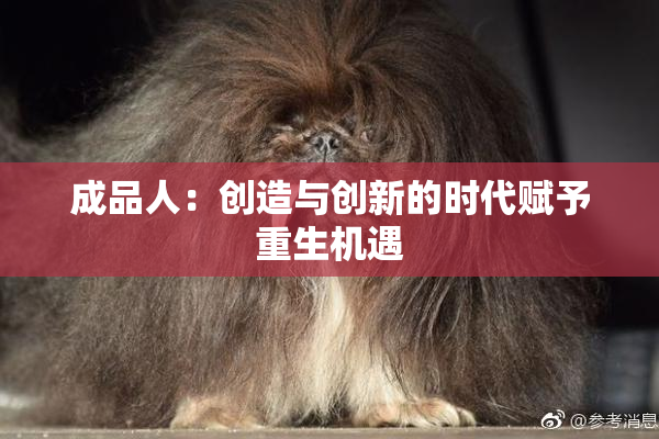 成品人：创造与创新的时代赋予重生机遇