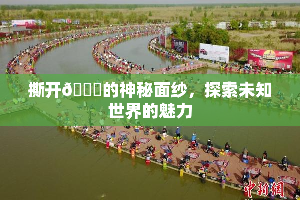 撕开👙的神秘面纱，探索未知世界的魅力