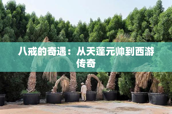 八戒的奇遇：从天蓬元帅到西游传奇