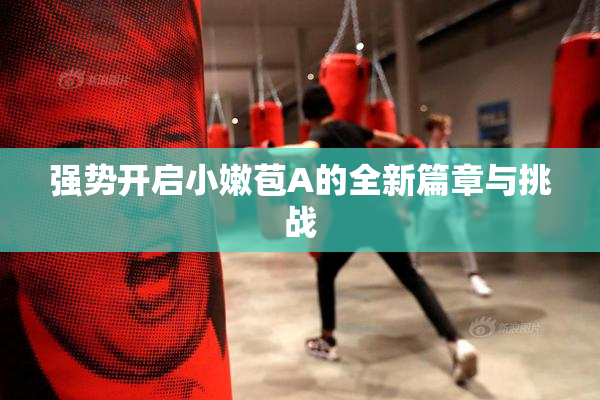 强势开启小嫩苞A的全新篇章与挑战