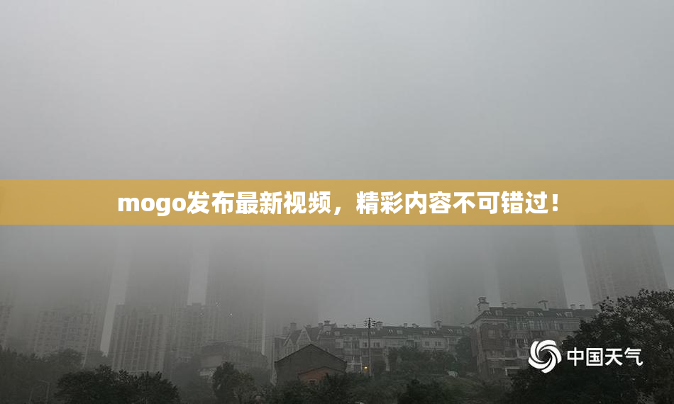 mogo发布最新视频，精彩内容不可错过！
