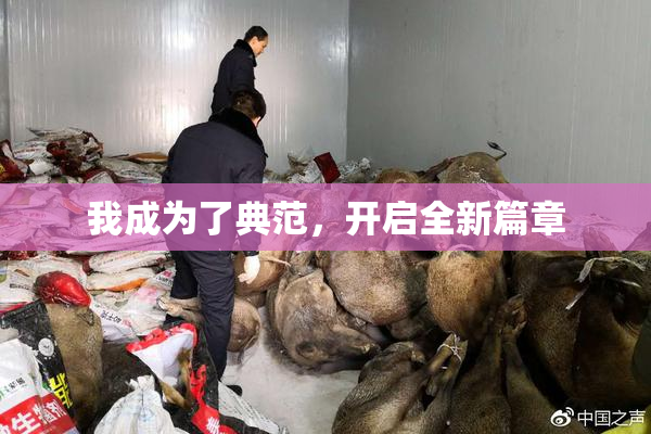 我成为了典范，开启全新篇章