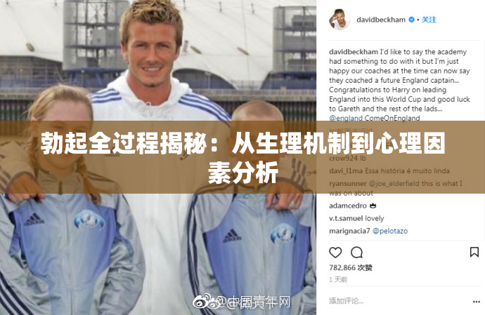 勃起全过程揭秘：从生理机制到心理因素分析