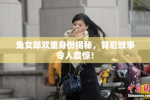 兔女郎双重身份揭秘，背后故事令人震惊！