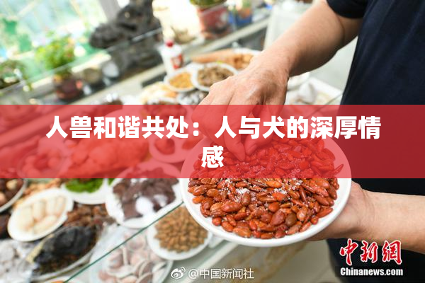 人兽和谐共处：人与犬的深厚情感