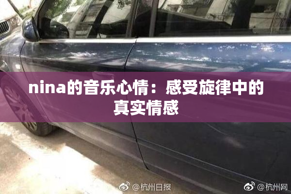 nina的音乐心情：感受旋律中的真实情感