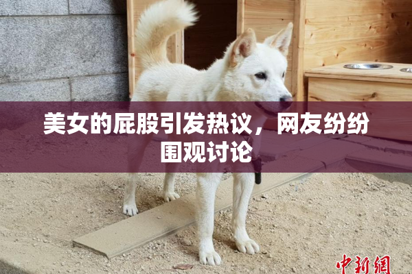 美女的屁股引发热议，网友纷纷围观讨论