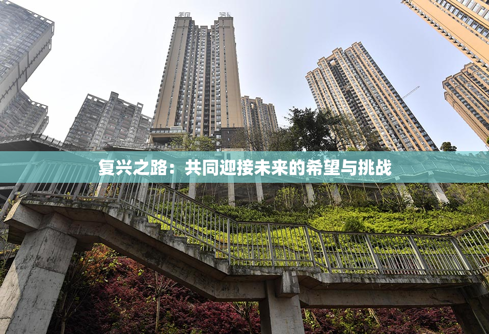 复兴之路：共同迎接未来的希望与挑战