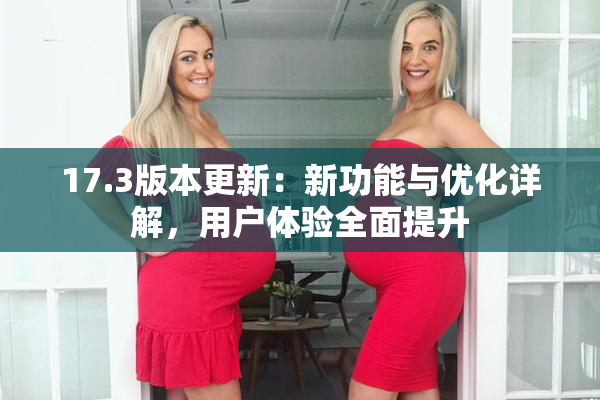 17.3版本更新：新功能与优化详解，用户体验全面提升