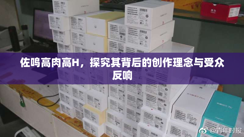 佐鸣高肉高H，探究其背后的创作理念与受众反响